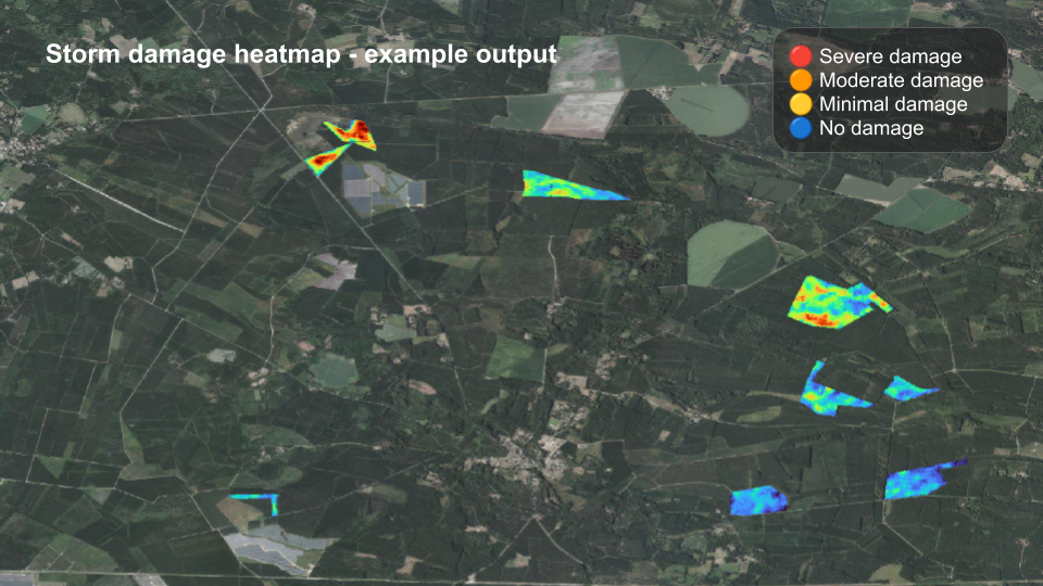 Storm damage heatmap — example output showing severity zones across a forest area